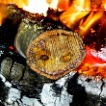 fire-wood-smiley-1