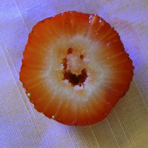 strawberry-smiley-3