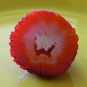 strawberry-smiley-4