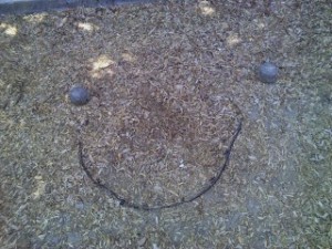 park-smile