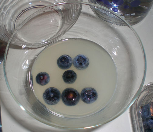 spontaneous-blueberry-smiley